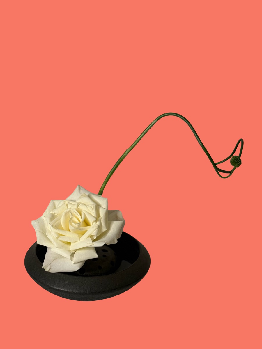 PAPER YARROW - Boutique flowers and vintage finds