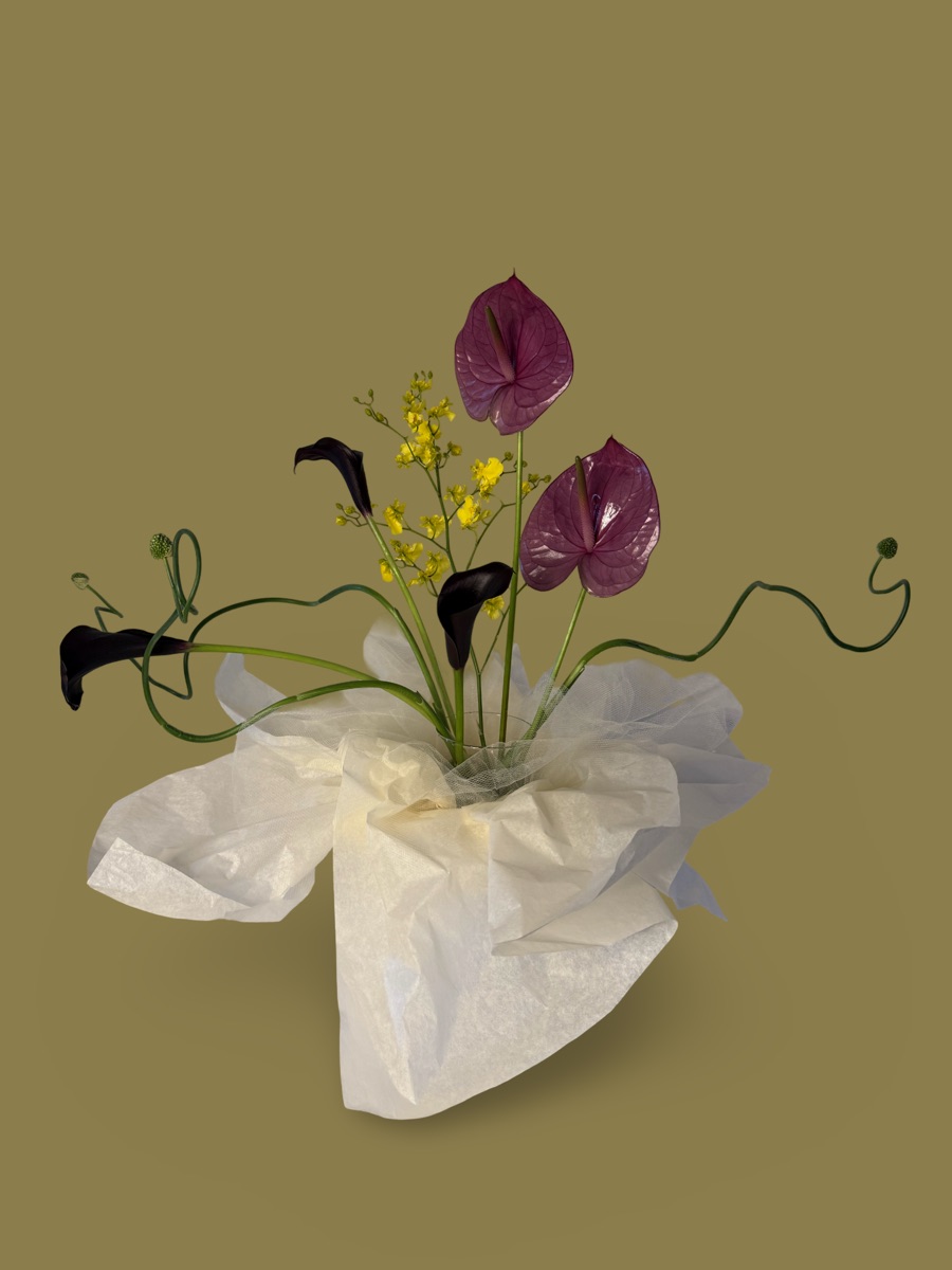 LITTLE STAR - Flowers from PAPER YARROW East Village NYC